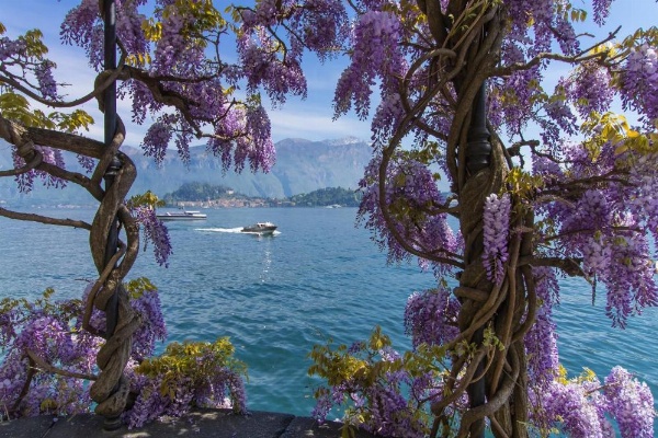 Casa dei Galli image 24